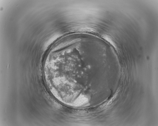 X0000088031071200706011344