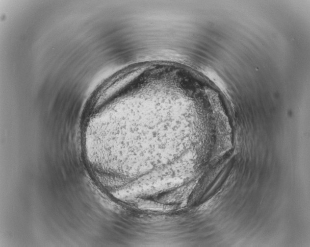 X0000088031072200706011344