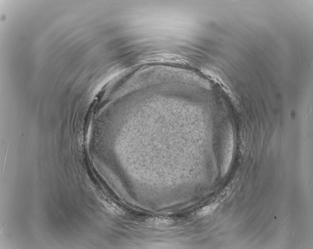 X0000088031073200706011344