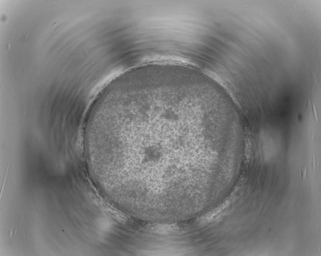 X0000088031074200706011344