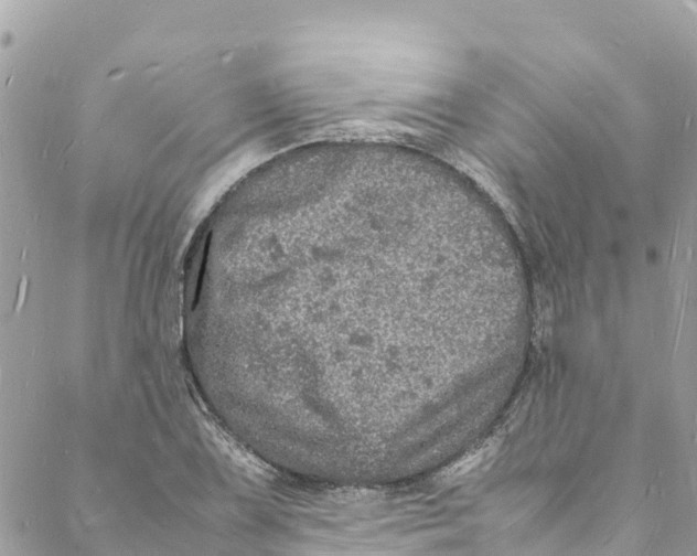 X0000088031075200706011344