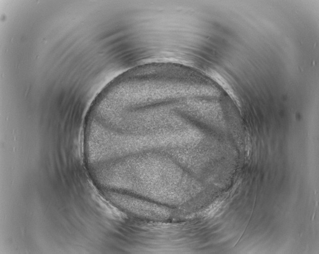 X0000088031076200706011344