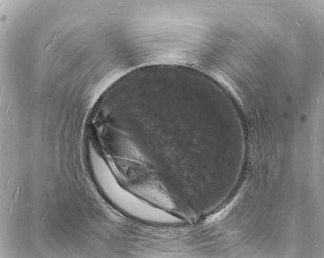 X0000088031077200706011344