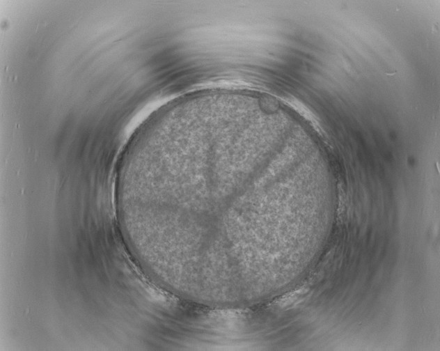 X0000088031078200706011344