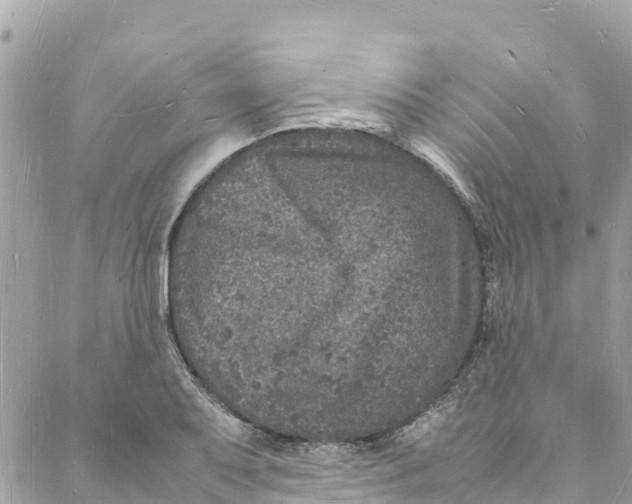 X0000088031079200706011344