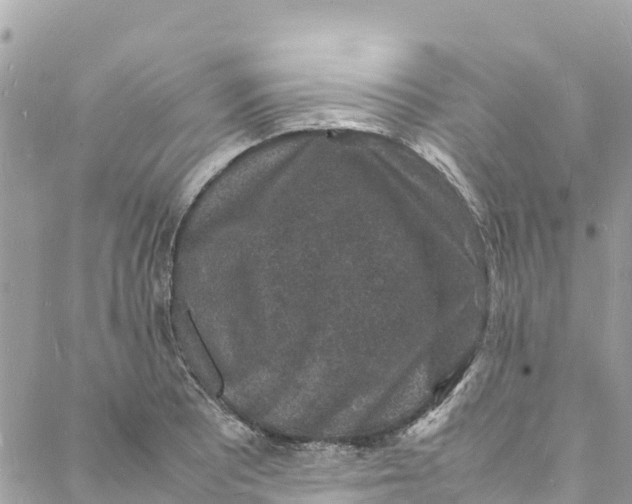 X0000088031081200706011343