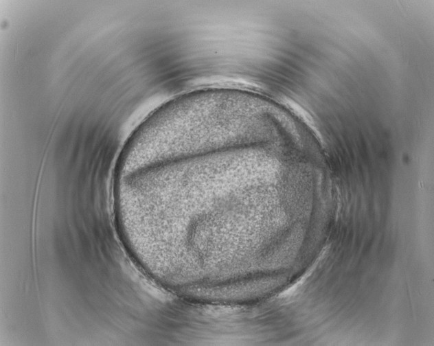 X0000088031082200706011343