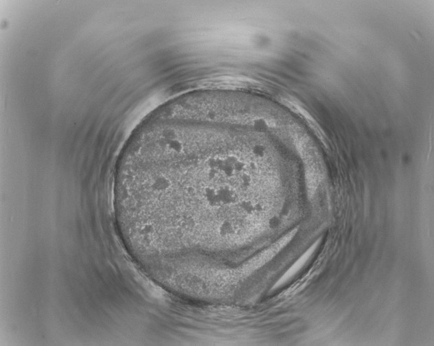 X0000088031083200706011343