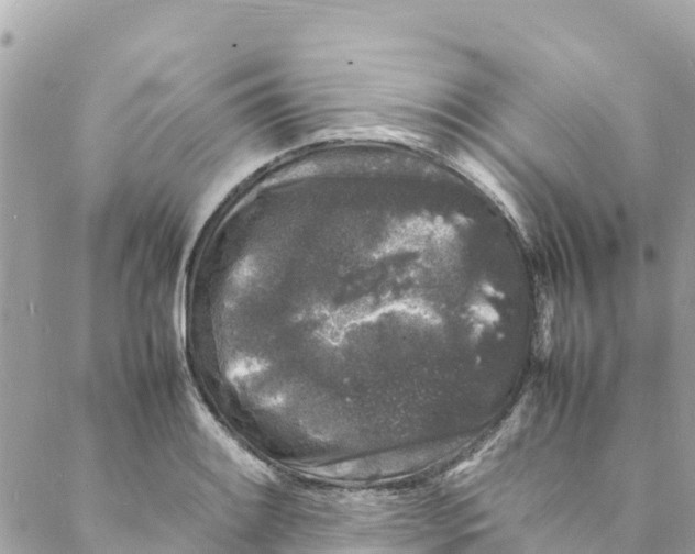 X0000088031084200706011343