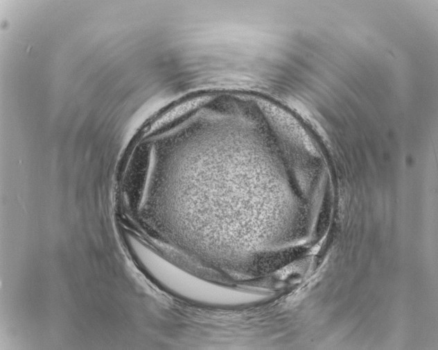 X0000088031085200706011343