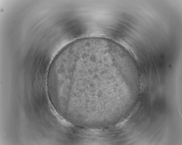 X0000088031086200706011343