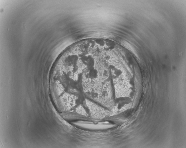 X0000088031087200706011343