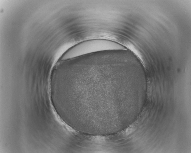 X0000088031088200706011343