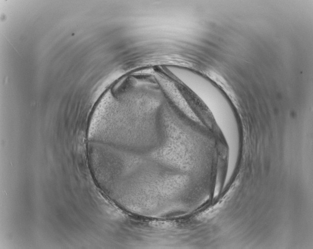 X0000088031089200706011343