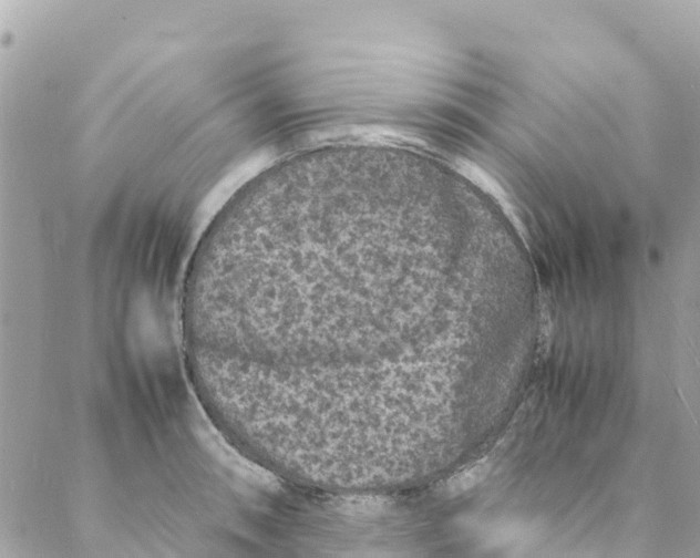 X0000088031090200706011343