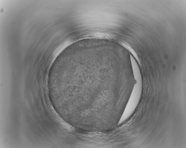 X0000088031091200706011343