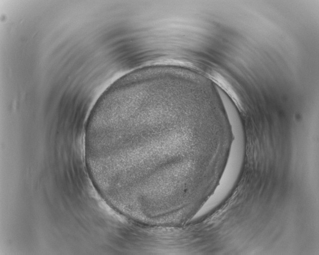 X0000088031092200706011343