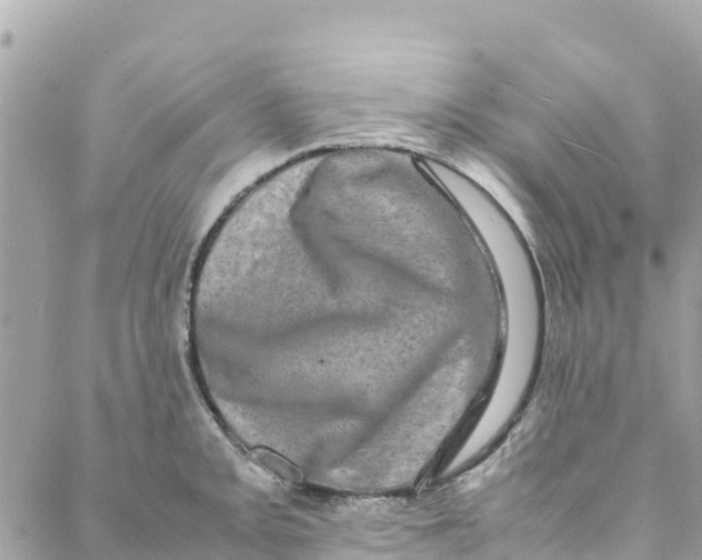 X0000088031093200706011343