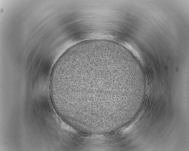 X0000088031094200706011343