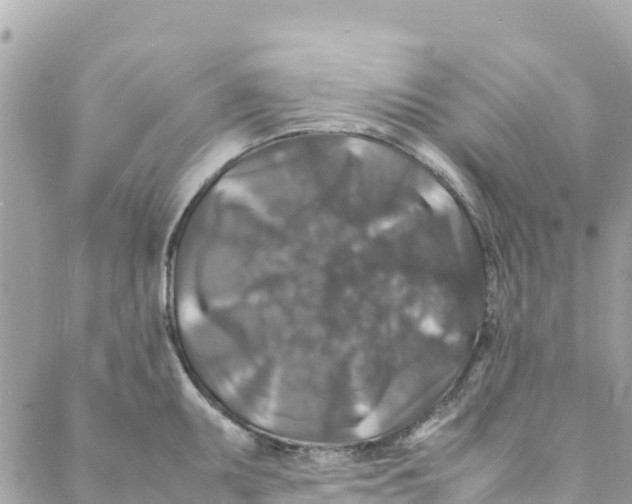 X0000088031095200706011343