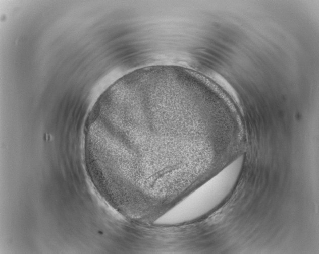 X0000088031096200706011343