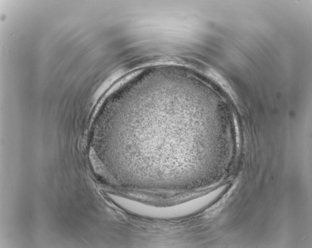 X0000088031097200706011343