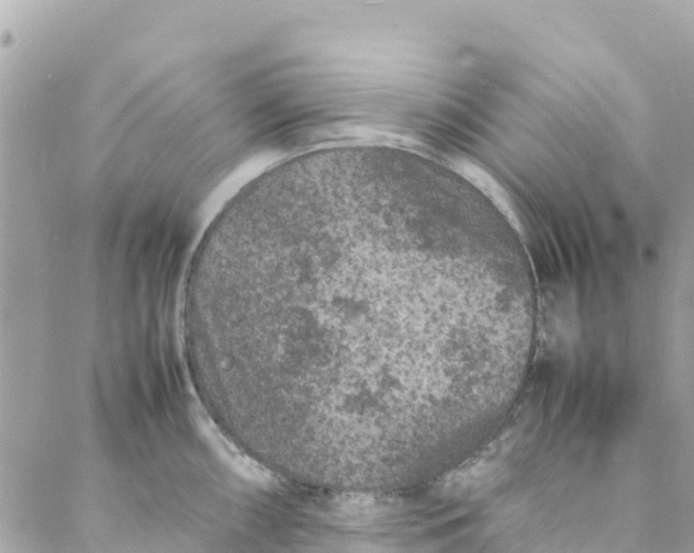 X0000088031098200706011343