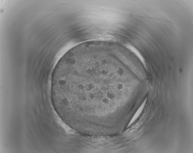 X0000088031099200706011343