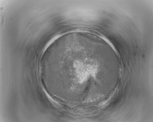 X0000088031101200706011343