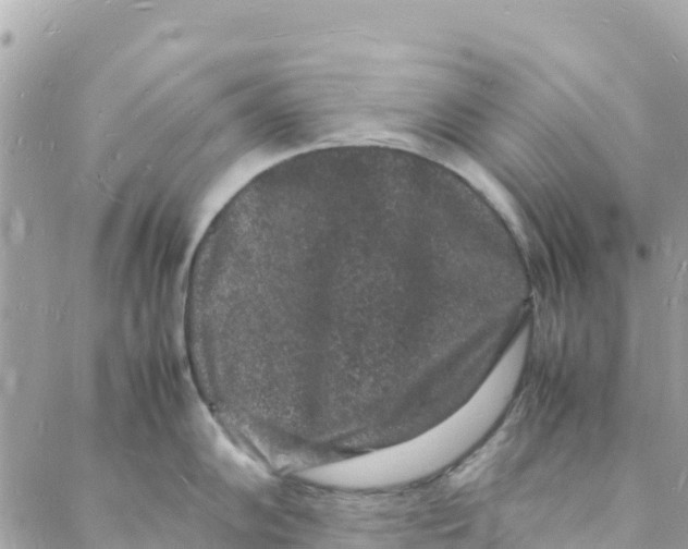 X0000088031102200706011343