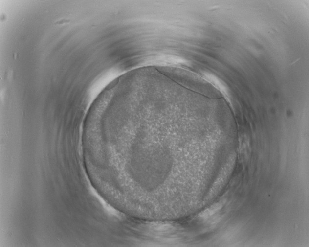 X0000088031103200706011343