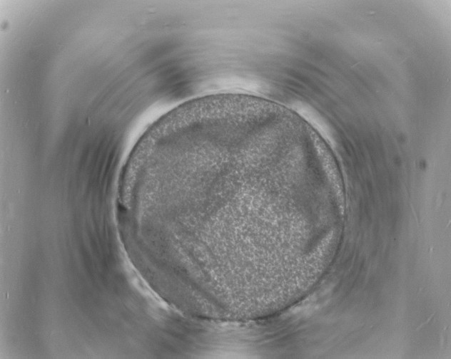 X0000088031104200706011343