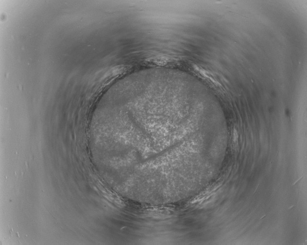 X0000088031105200706011342