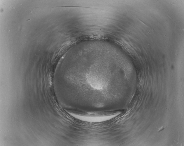 X0000088031106200706011342