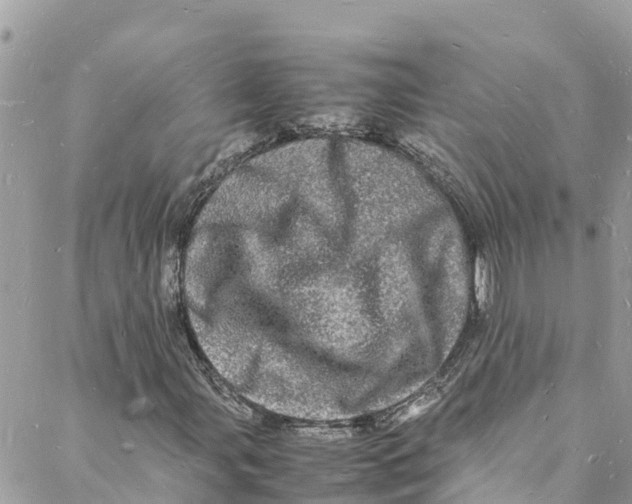 X0000088031107200706011342