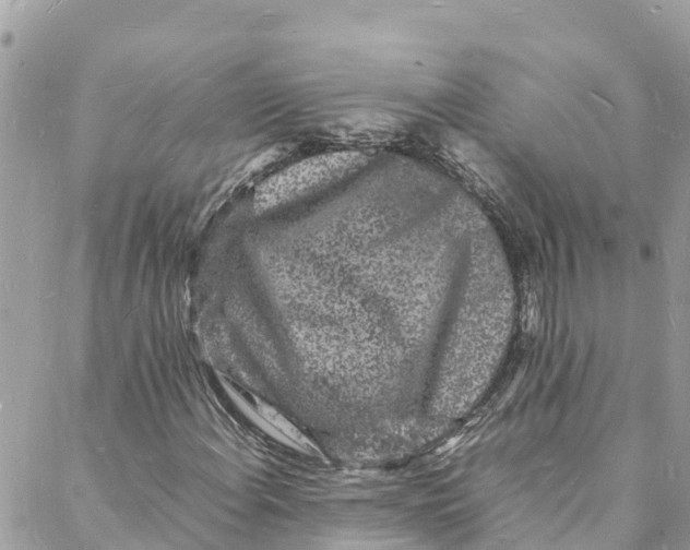 X0000088031108200706011342