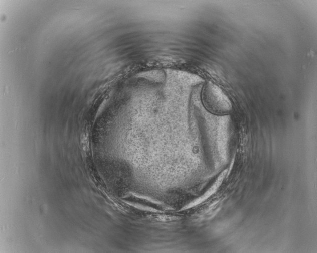 X0000088031109200706011342