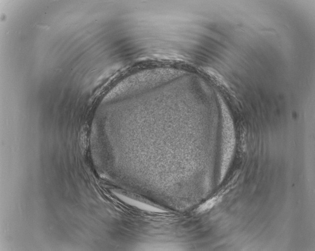 X0000088031110200706011342