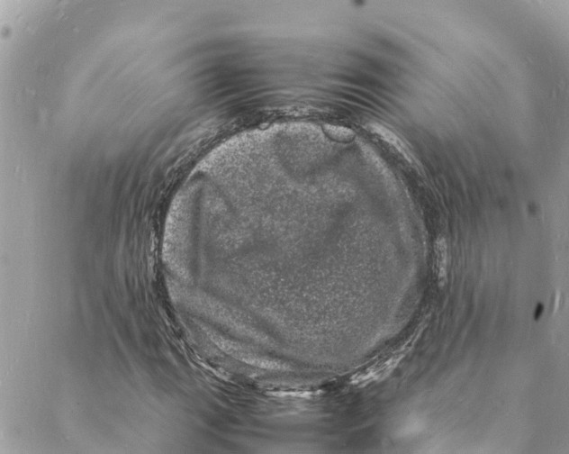 X0000088031111200706011342