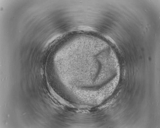 X0000088031112200706011342