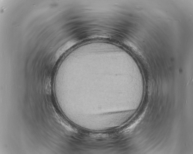 X0000088031113200706011342