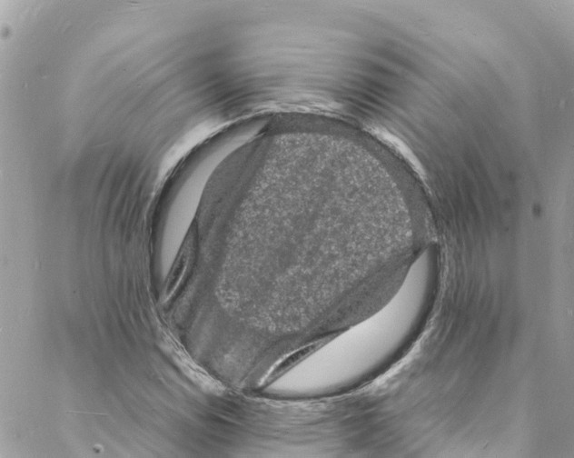 X0000088031114200706011342