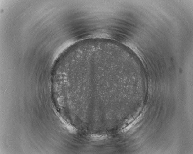 X0000088031115200706011342