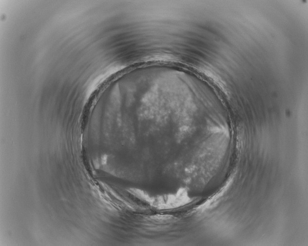 X0000088031117200706011343