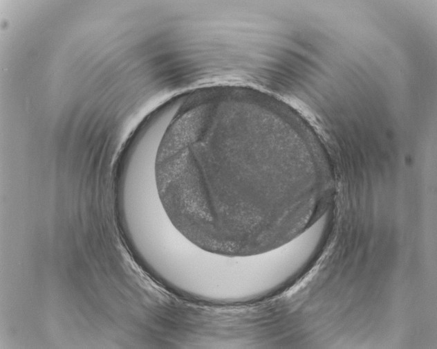 X0000088031118200706011343