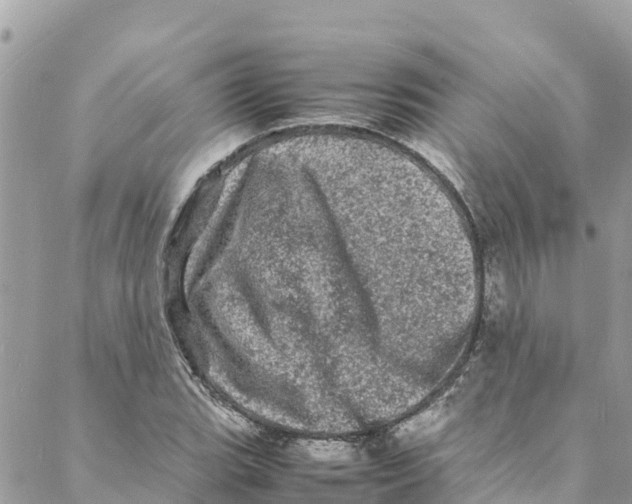 X0000088031119200706011343