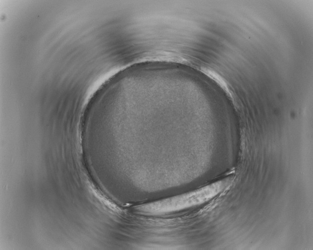 X0000088031120200706011343