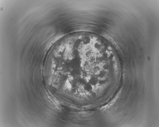 X0000088031121200706011343