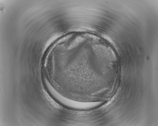 X0000088031122200706011343