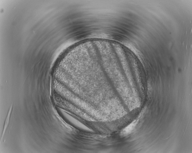 X0000088031123200706011343